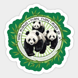 China Panda Bears Sticker